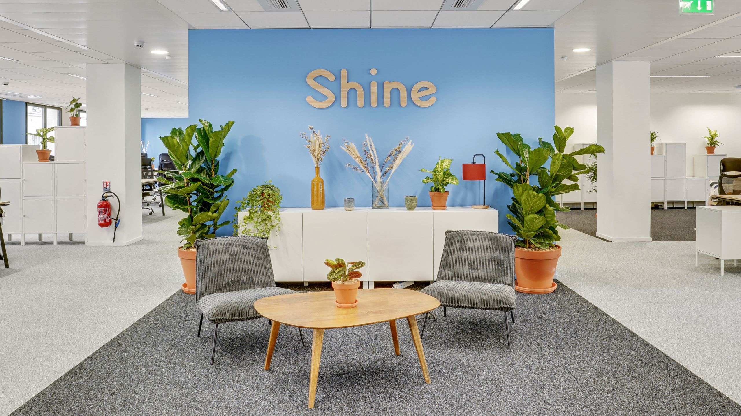 Logo Shine avec petit espace détente arboré de plantes